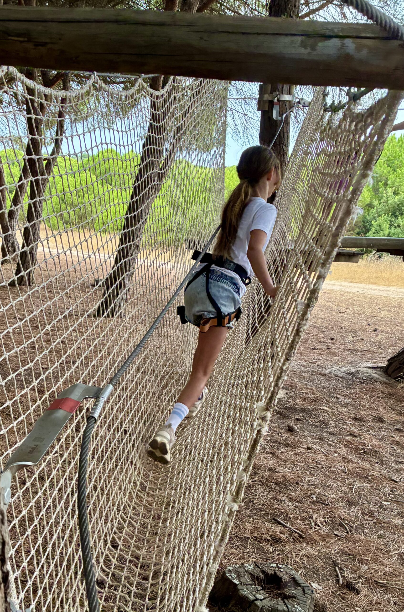 6 geniale Ausflugsziele an der Algarve: Unsere persönlichen Highlights für deinen Urlaub Kletterpark Lagos